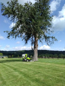 Aménagement de jardin à Crouttes 