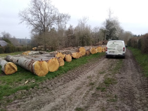 Bois pour chauffage à Crouttes