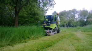 Aménagement de jardin à Crouttes 